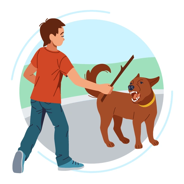 Representation by an Austin dog bite lawyer